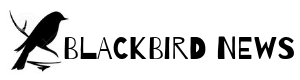 Blackbird News